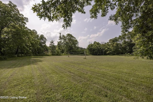 94 Buckhorn Ln, Leitchfield, KY 42754 - view of grassy yard featuring volleyball court