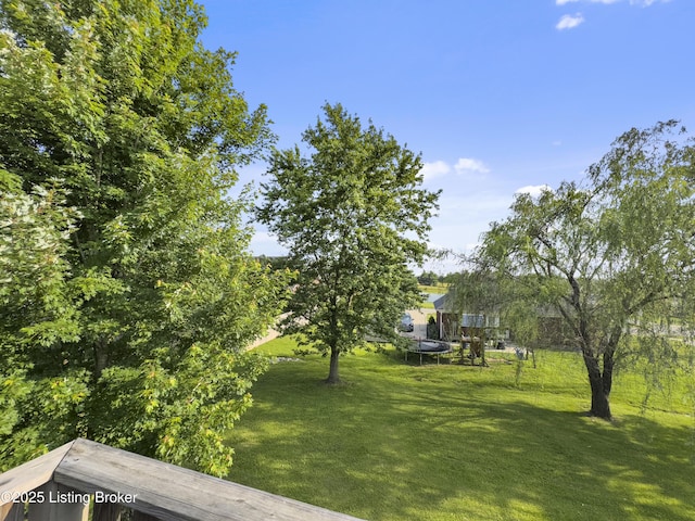 131 Benelli Dr, Bardstown, KY 40004 - view of green lawn
