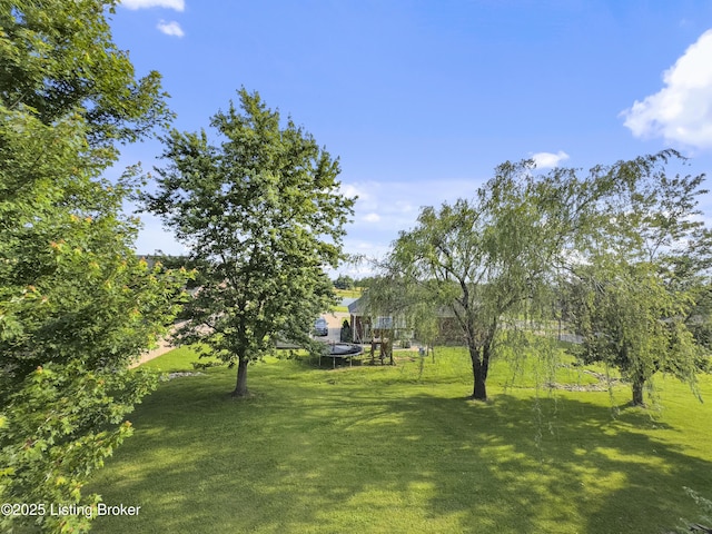 131 Benelli Dr, Bardstown, KY 40004 - view of green lawn