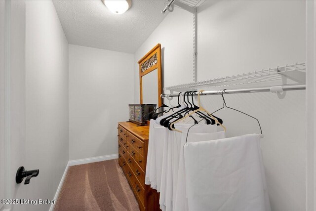 2601 Ballard School Rd, La Grange, KY 40031 - photo 45