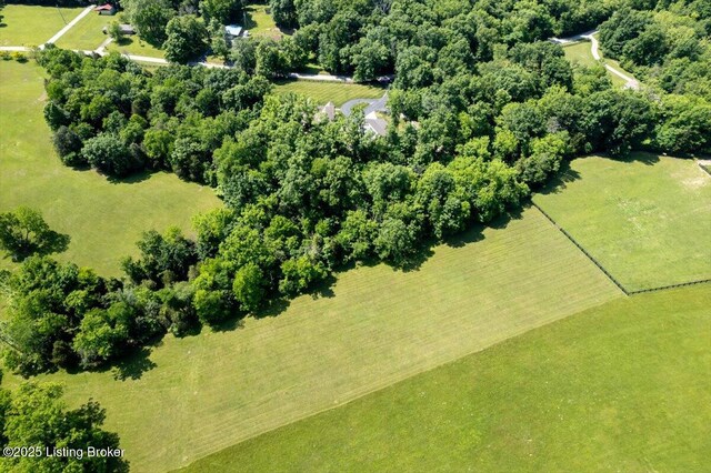 2601 Ballard School Rd, La Grange, KY 40031 - photo 68