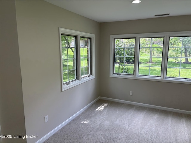 10702 High Grove Pl, Louisville, KY 40223 - photo 44