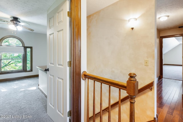 245 Thoroughbred Ln, Elizabethtown, KY 42701 - photo 31