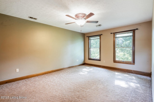 245 Thoroughbred Ln, Elizabethtown, KY 42701 - photo 33