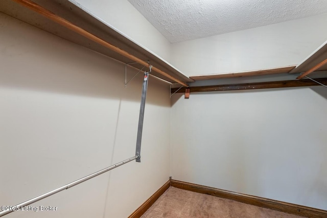 245 Thoroughbred Ln, Elizabethtown, KY 42701 - photo 36