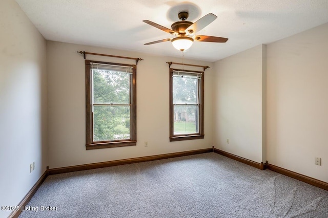 245 Thoroughbred Ln, Elizabethtown, KY 42701 - photo 39