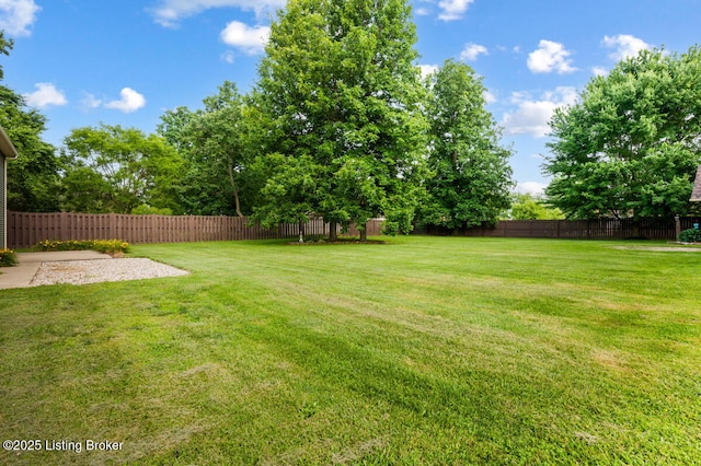 245 Thoroughbred Ln, Elizabethtown, KY 42701 - photo 48