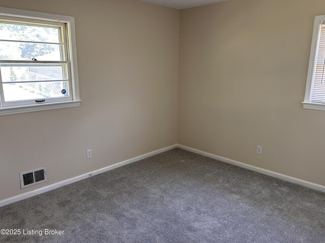 11603 Leemont Dr, Louisville, KY 40272 - photo 11