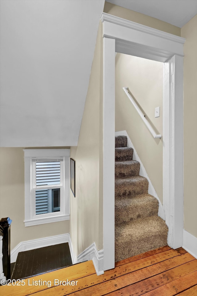 177 Coral Ave, Louisville, KY 40206 - photo 30