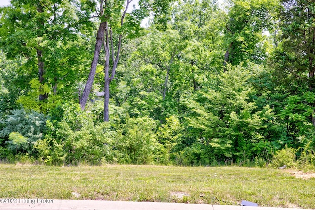 0 Hidden Falls Dr Lot 73, Mt Washington, KY 40047 - photo 3