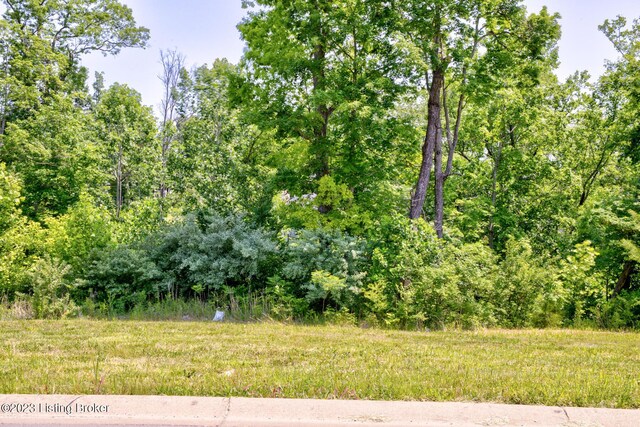 0 Hidden Falls Dr Lot 73, Mt Washington, KY 40047 - photo 4