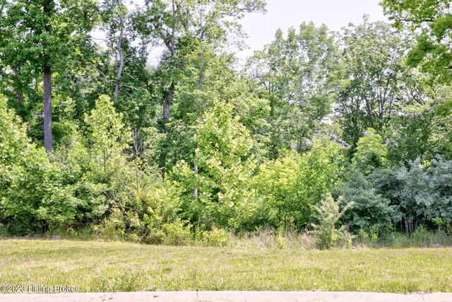0 Hidden Falls Dr Lot 73, Mt Washington, KY 40047 - photo 5