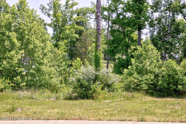 0 Hidden Falls Dr Lot 73, Mt Washington, KY 40047 - photo 6