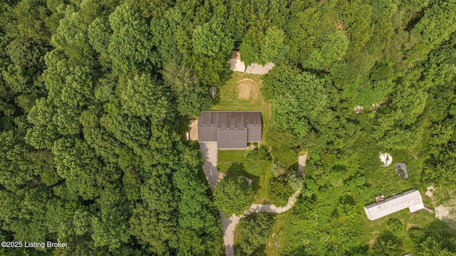 606 Lone Oak Rd, Clarkson, KY 42726 - aerial view of property's location