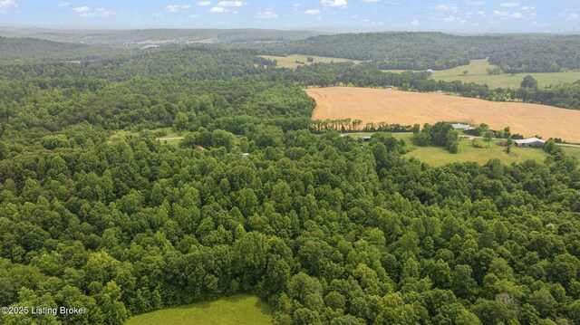 606 Lone Oak Rd, Clarkson, KY 42726 - drone / aerial view of a forest