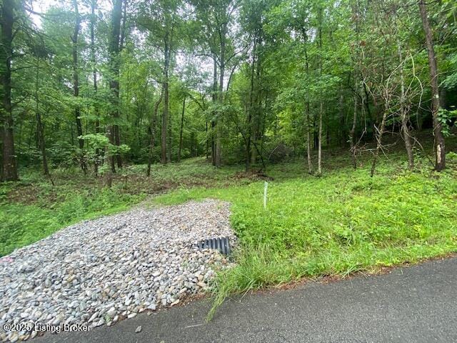 0 Waterview Ln, Cub Run, KY 42729