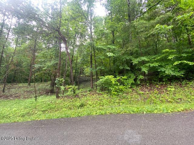 0 Waterview Ln, Cub Run, KY 42729