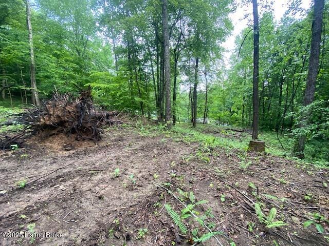 0 Waterview Ln, Cub Run, KY 42729