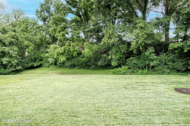 7401 Switch Bark Rd, Louisville, KY 40228 - view of green lawn