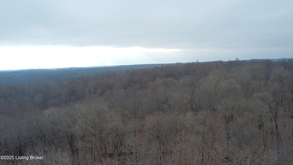 1 Springfield Rd, Elizabethtown, KY 42701 - photo 2