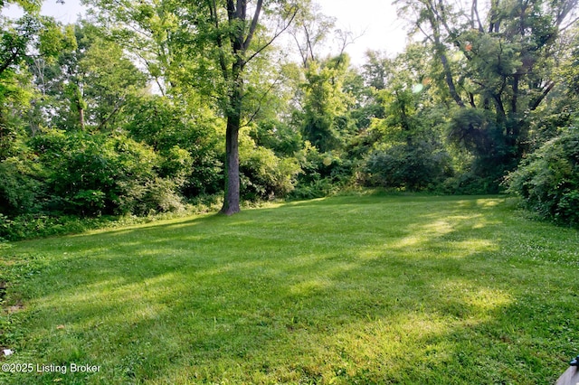 4009 Chenoweth Run Rd, Louisville, KY 40299 - photo 24