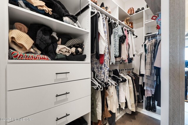 104 Howard Ln, Jeffersonville, IN 47130 - walk in closet featuring wood finished floors