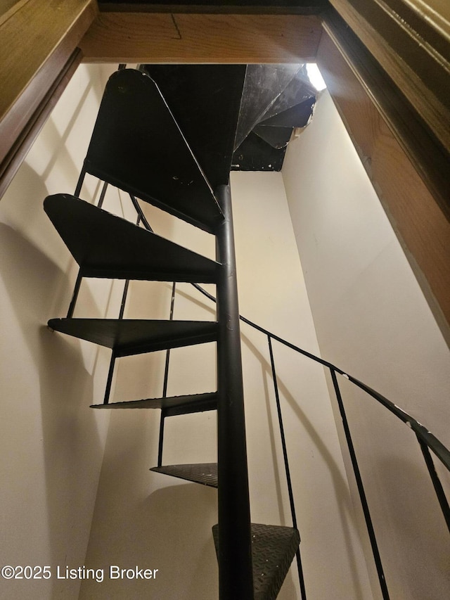 3501 Trinidad Ct, Lexington, KY 40509 - view of staircase