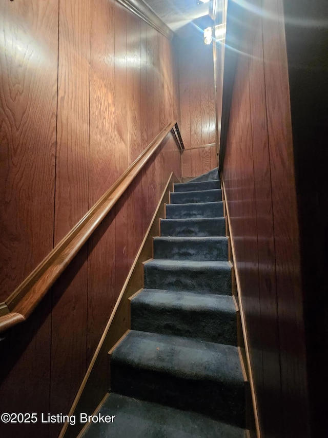 3501 Trinidad Ct, Lexington, KY 40509 - stairs featuring wood walls