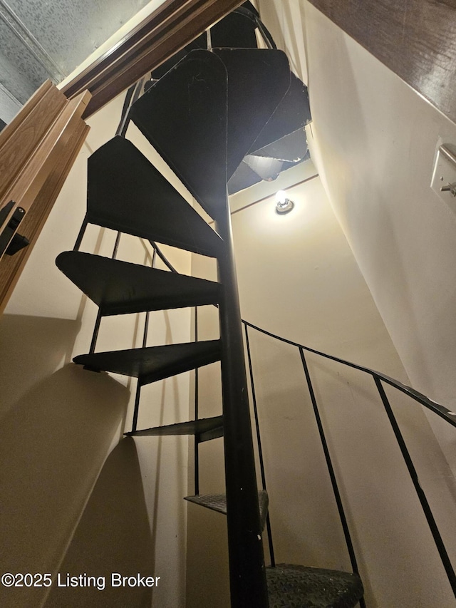3501 Trinidad Ct, Lexington, KY 40509 - view of stairs