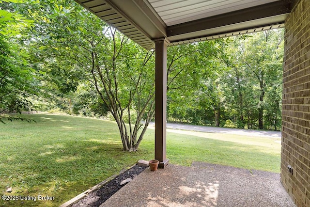 2312 Blevins Gap Rd, Louisville, KY 40272 - view of green lawn
