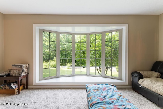 2312 Blevins Gap Rd, Louisville, KY 40272 - living area with plenty of natural light and carpet flooring