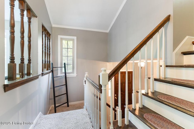 2312 Blevins Gap Rd, Louisville, KY 40272 - staircase with ornamental molding and carpet