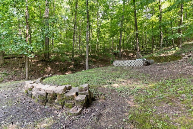 2312 Blevins Gap Rd, Louisville, KY 40272 - view of yard