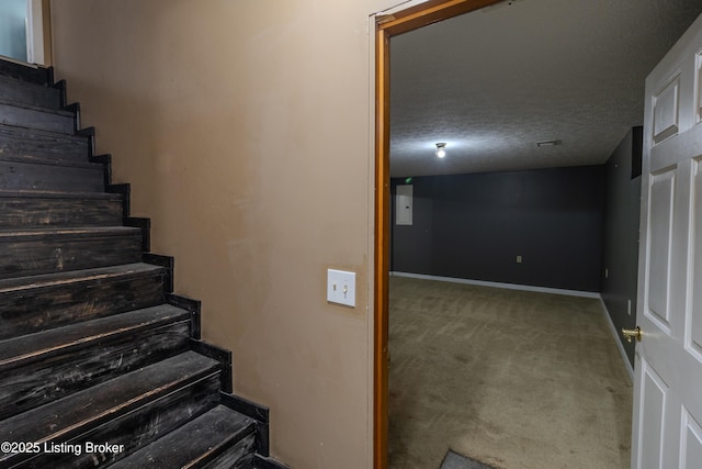 95 Sunny Meadows Dr, Vine Grove, KY 40175 - stairway with carpet flooring and a textured ceiling