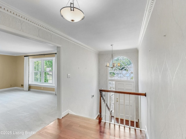 1204 Wellington Pl, Louisville, KY 40207 - photo 48