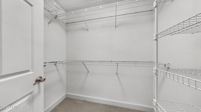 1204 Wellington Pl, Louisville, KY 40207 - photo 22