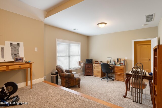 905 Fossil Creek Cir, Louisville, KY 40245 - photo 38