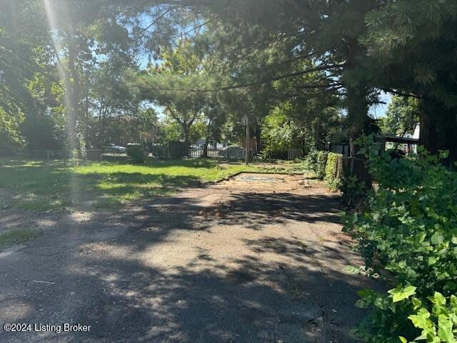1008 Walter Ave, Louisville, KY 40215 - view of road