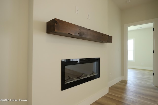 838 Otter Creek Rd, Vine Grove, KY 40175 - detailed view of wood finished floors and a glass covered fireplace