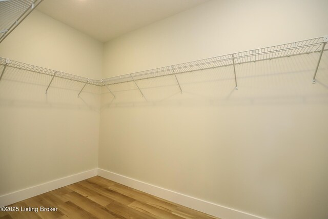 838 Otter Creek Rd, Vine Grove, KY 40175 - spacious closet with light wood-type flooring
