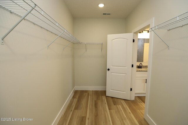 838 Otter Creek Rd, Vine Grove, KY 40175 - spacious closet featuring light wood-style flooring and a sink
