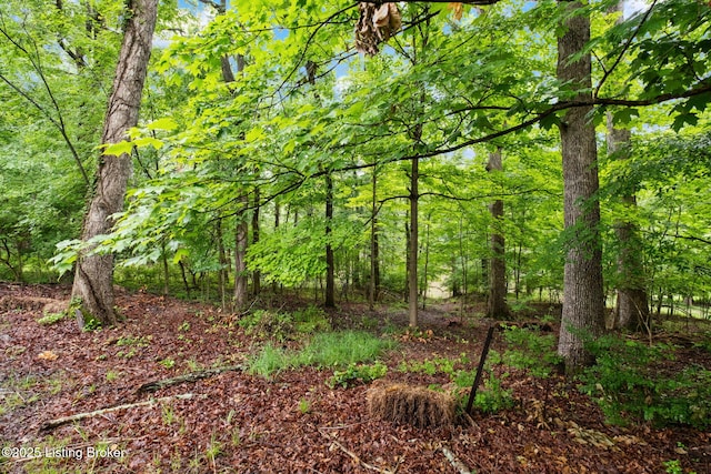 8504 Bambi Way, Louisville, KY 40214 - view of wooded area