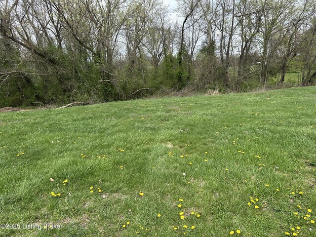 914 Woods Run Rd, Bardstown, KY 40004 - photo 1