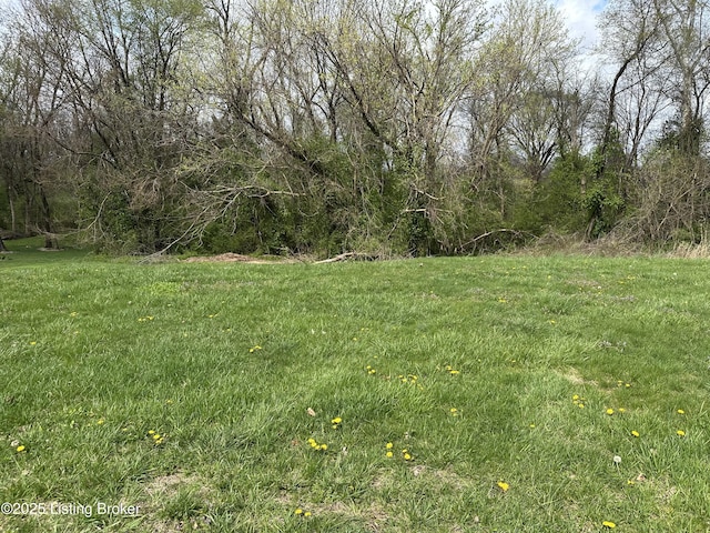914 Woods Run Rd, Bardstown, KY 40004 - photo 2