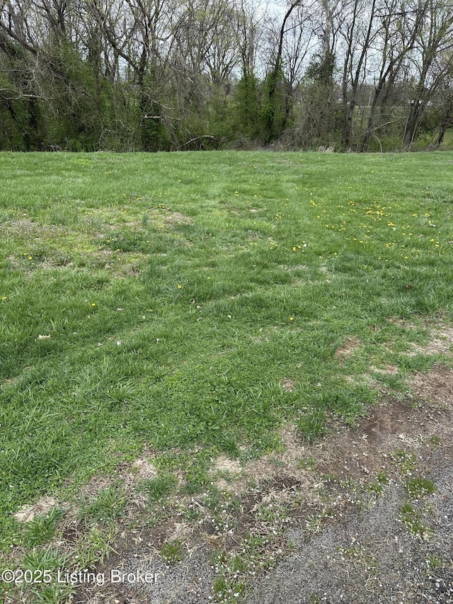914 Woods Run Rd, Bardstown, KY 40004 - photo 3