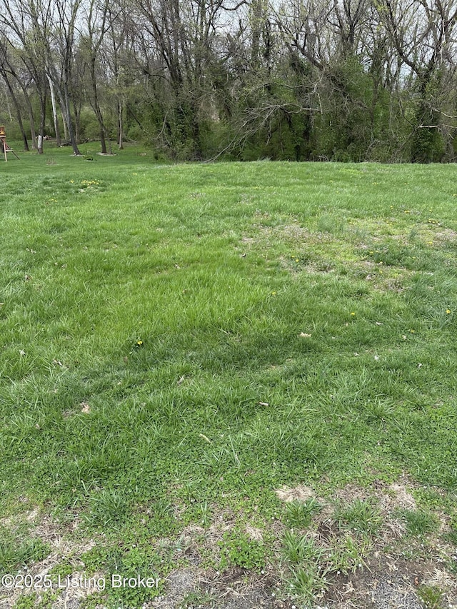 914 Woods Run Rd, Bardstown, KY 40004 - photo 4