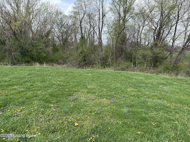 916 Woods Run Rd, Bardstown, KY 40004 - photo 1