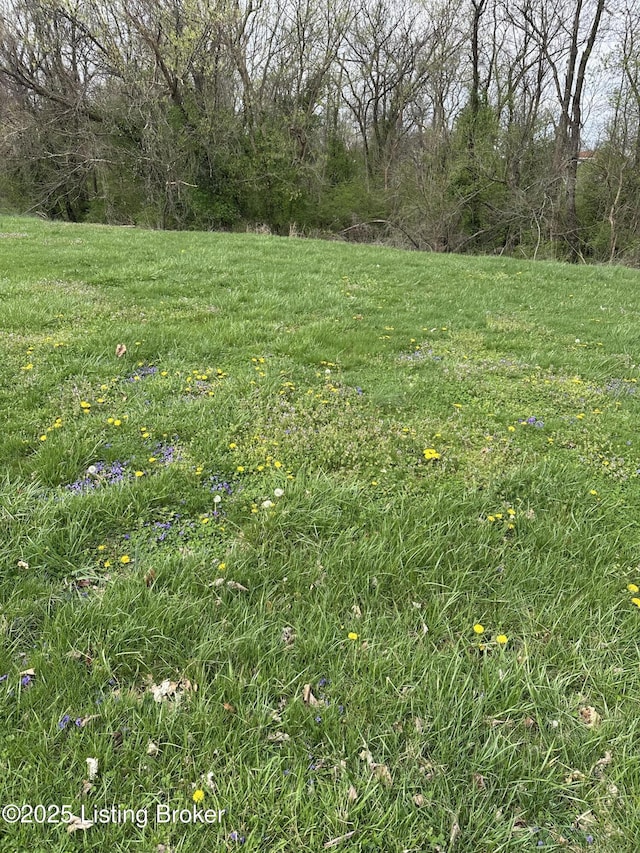 916 Woods Run Rd, Bardstown, KY 40004 - photo 2