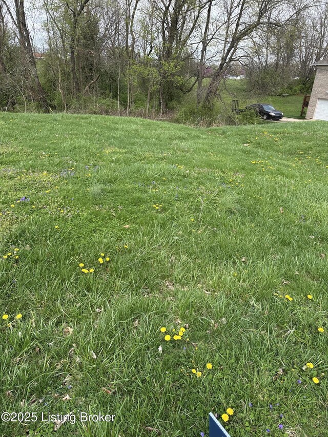 916 Woods Run Rd, Bardstown, KY 40004 - photo 3