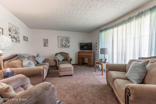 2149 Shrewsbury Rd, Leitchfield, KY 42754 - living area featuring carpet and a textured ceiling